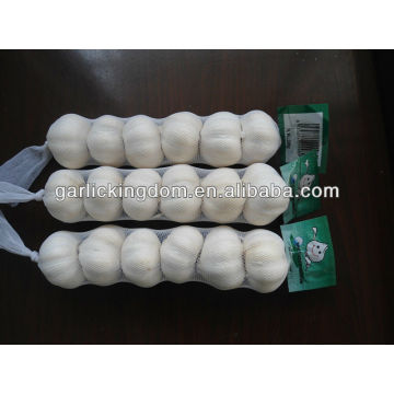 250g 5.0cm mesh bag pure garlic